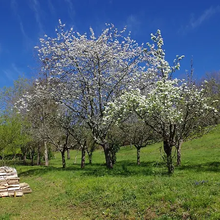 Prázdninový dům Du Hameau Baylesse *
